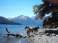 Argentina-Northern Patagonia-Cordillera Lake District Crossing